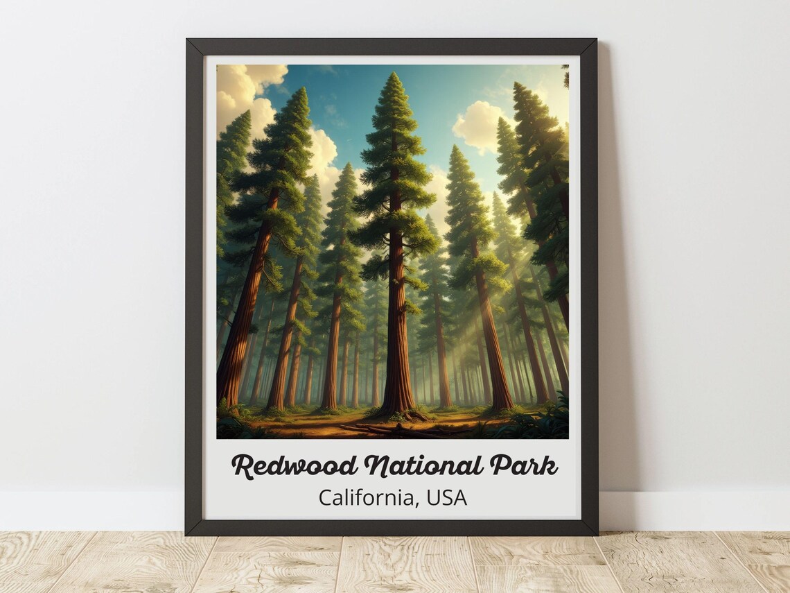 Redwood National Park California Forest Vintage Travel Poster