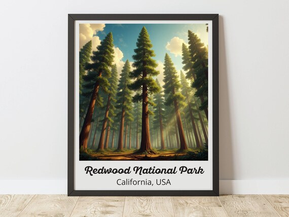 Redwood National Park California Forest Vintage Travel Poster