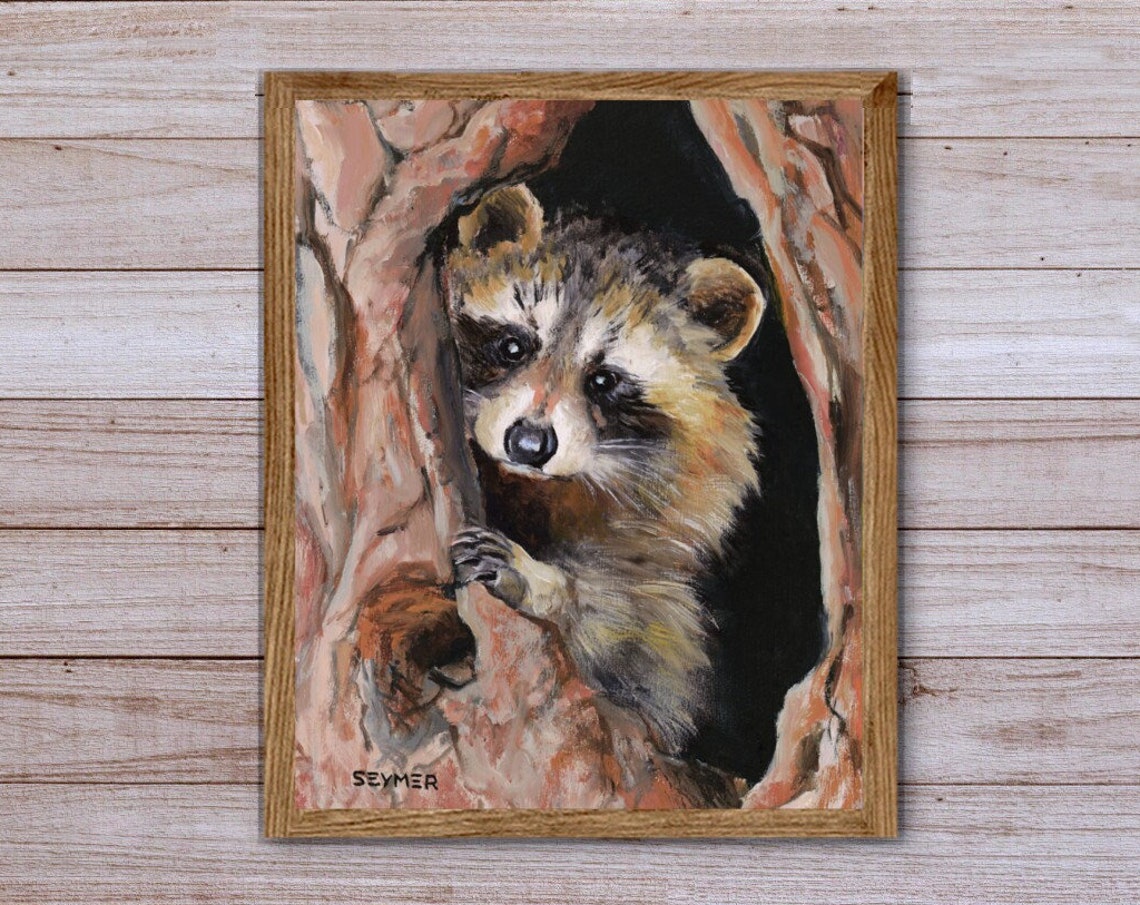 Curious Young Raccoon Peeking Out of a Hollow Tree Trunk Poster - Image 5