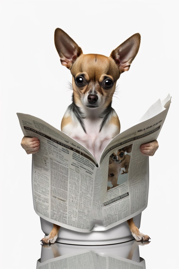 Chihuahua Sitting On The Toilet Reading A Newspaper Funny Bathroom Wall Art Funny Dog Photo Animal Prints Home Ai Art
