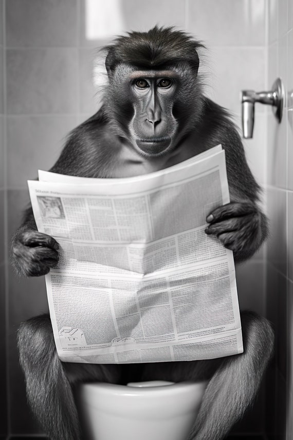 Mandrill Monkey Sitting On The Toilet Reading A Newspaper Funny Bathroom Wall Art Funny Monkey Print Animal Photos Ai Art