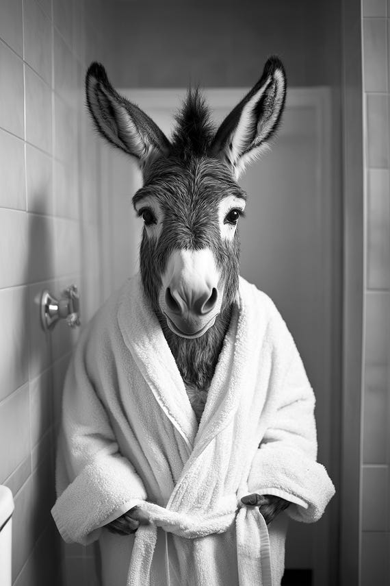 Donkey In A Bathrobe Funny Bathroom Wall Art Funny Retro Vintage Style Animal Photo Cute Donkey Wall Art Print Wall Art