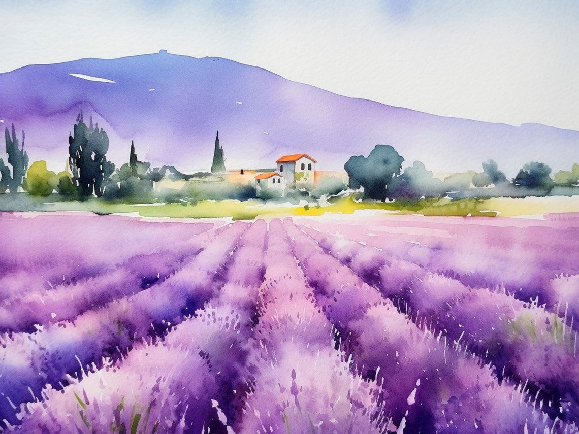 Sequim Lavender Fields Watercolor Purple Rows Farmhouse Poster