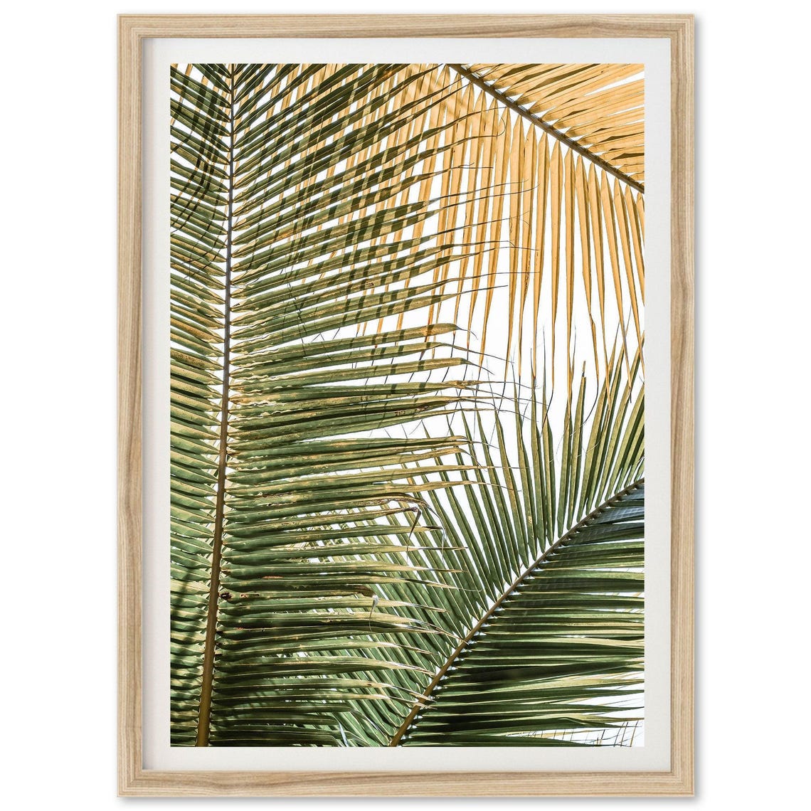 Coastal Boho Palm Tree Leaves Art Print