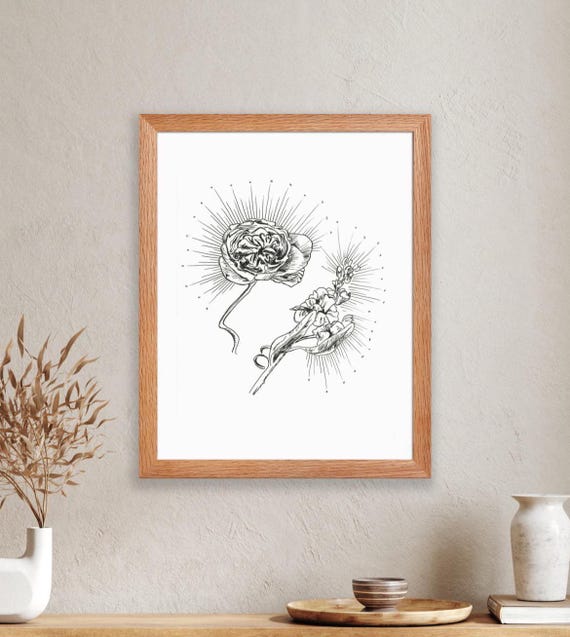 Radiant Blooms Ink Art Print Botanical Flower Illustration