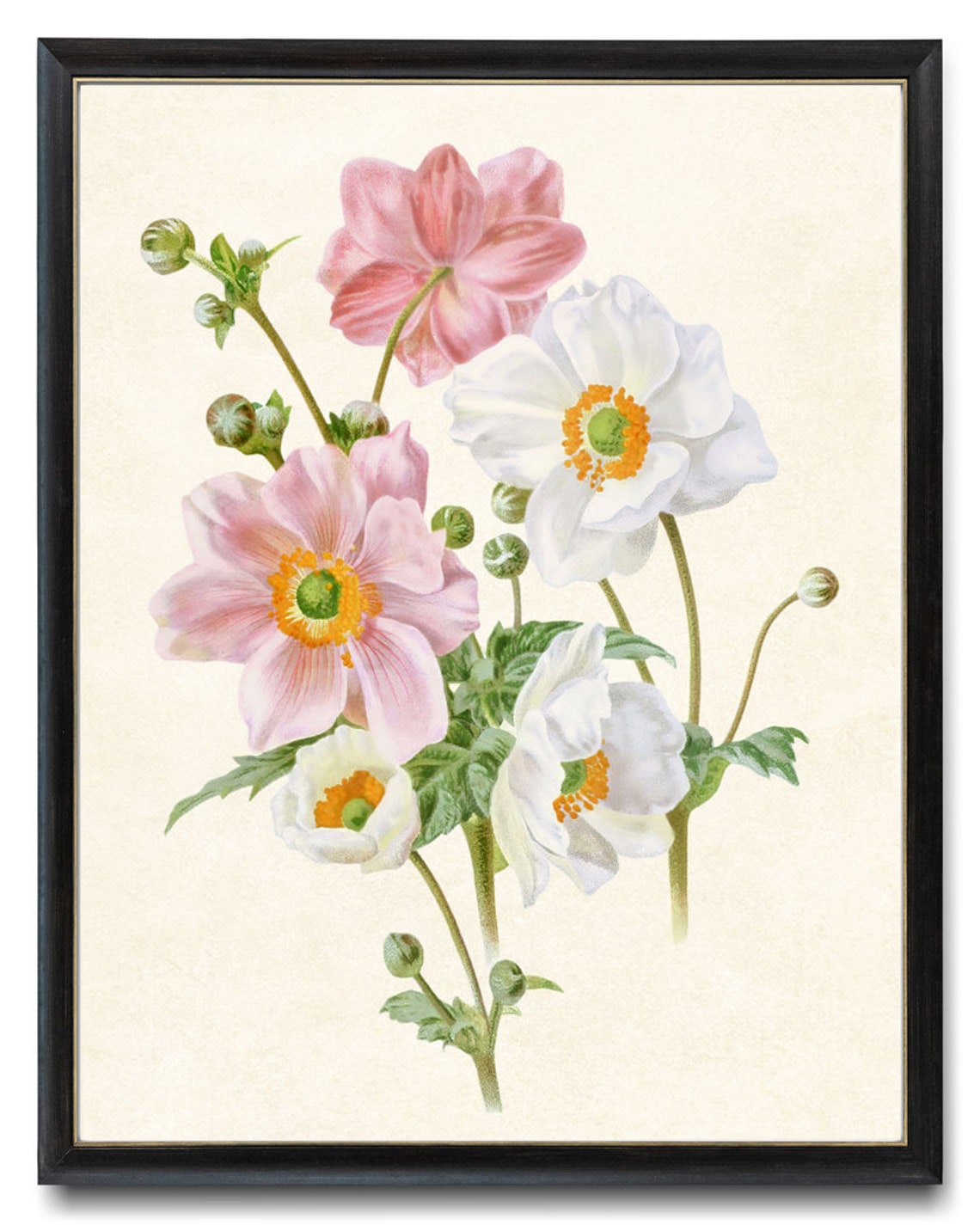 Pink and White Anemone Bouquet Vintage Botanical Flower Art Poster