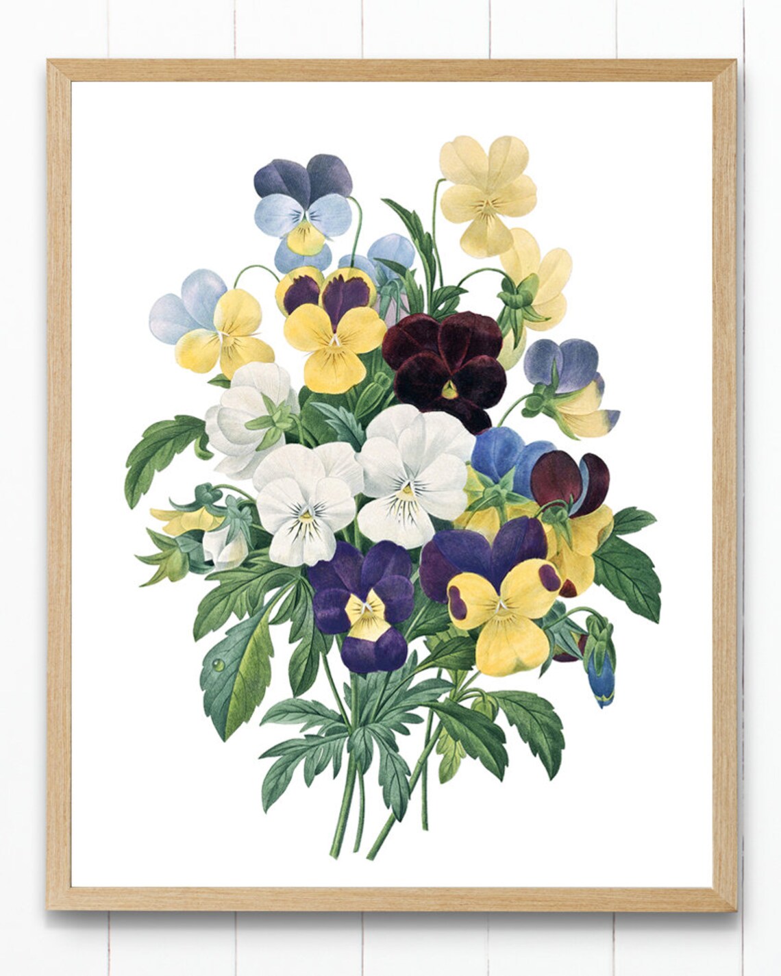 Pansy Bouquet Antique Botanical Illustration Vintage Flower Poster - Image 4