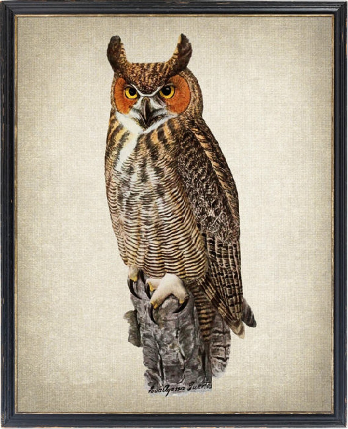 Great Horned Owl Vintage Illustration Art Print