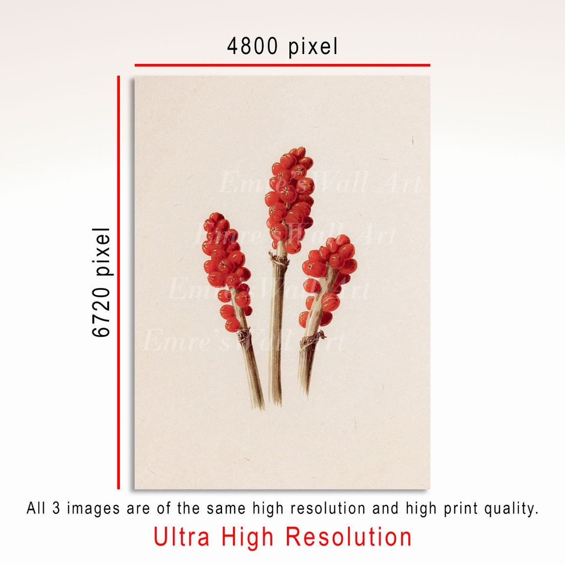 Winter Berries Pine Botanical Trio Set Vintage Holiday Art Poster - Image 4