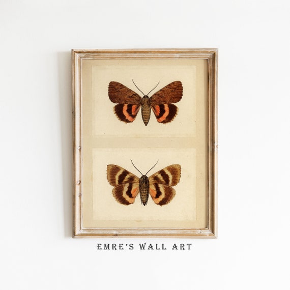 Butterfly Home Decor Butterfly Sketch Art Print Retro Trendy Aesthetic Print Vintage Drawing Artwork