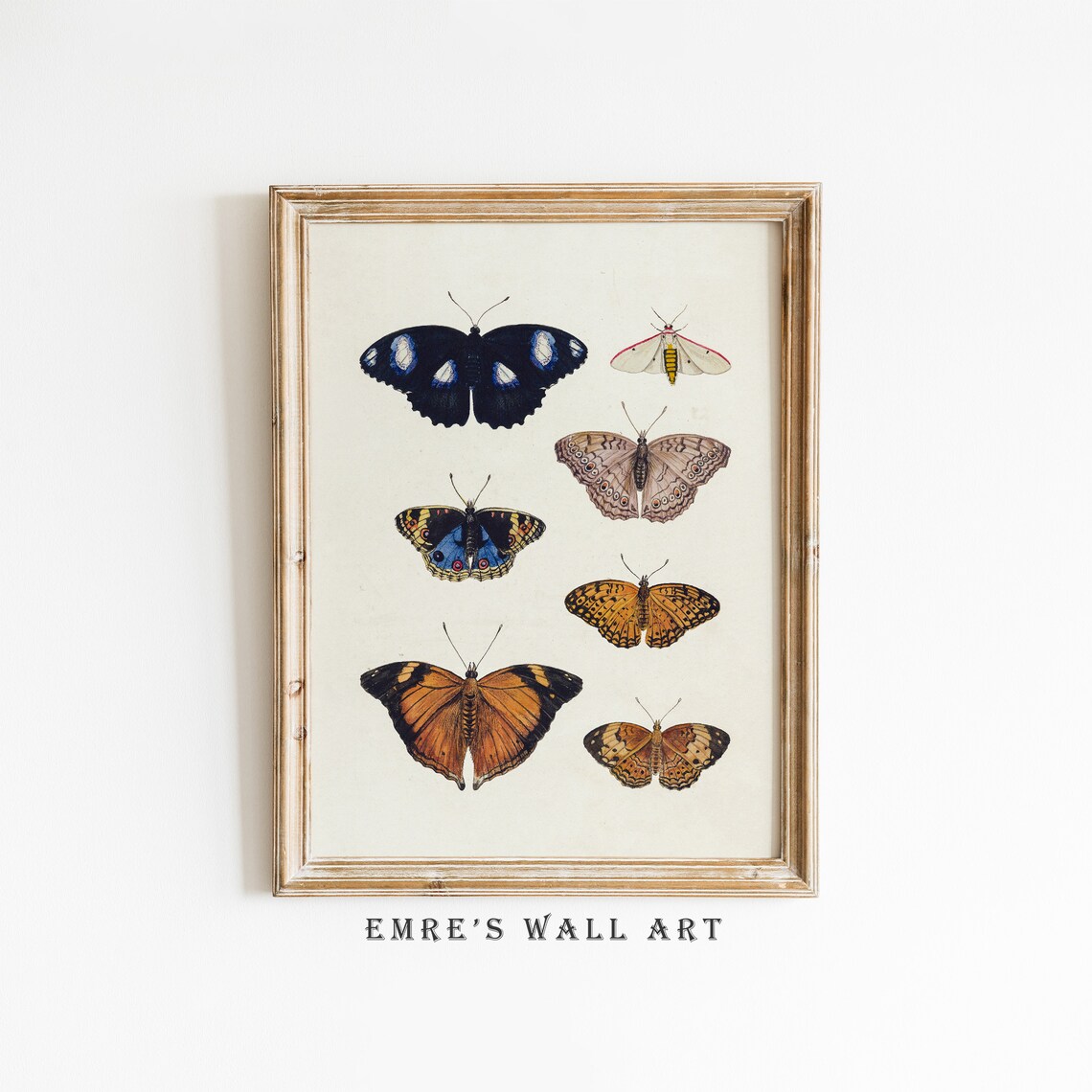 Vintage Butterfly Poster, Butterfly Drawing Art Print