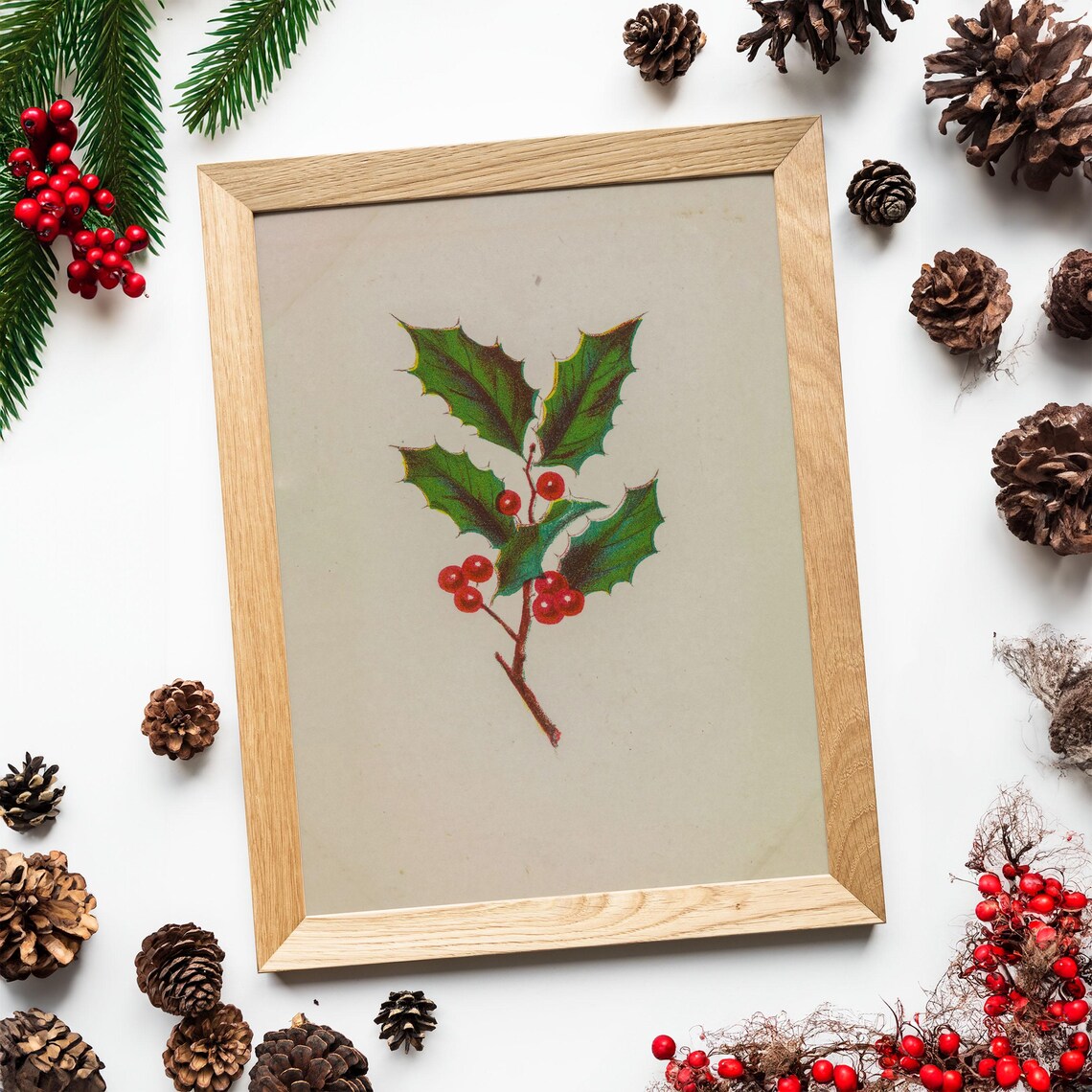 Holly Branch with Red Berries Vintage Christmas Botanical Poster - Image 4