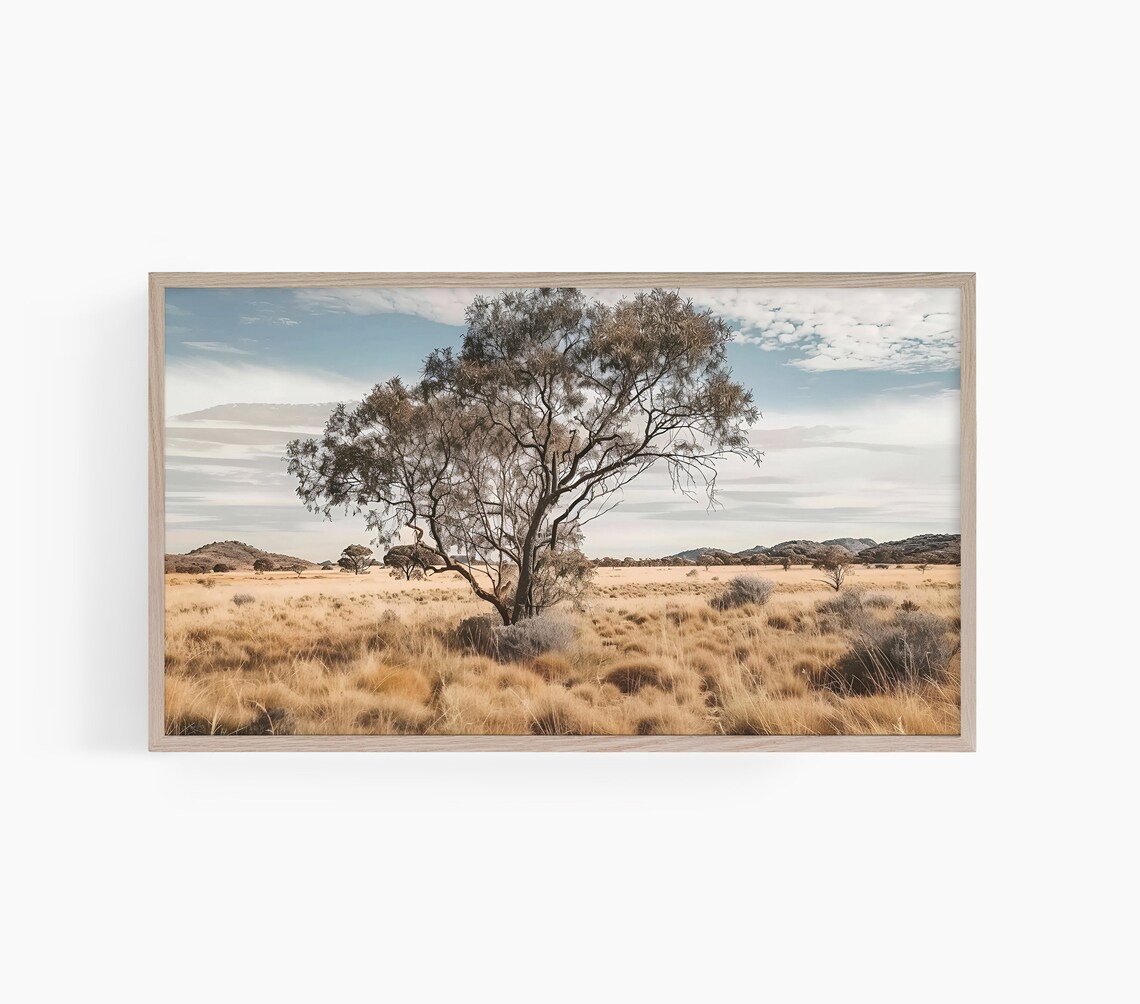 Australian Outback Lone Tree Golden Grassland Landscape Photo Poster