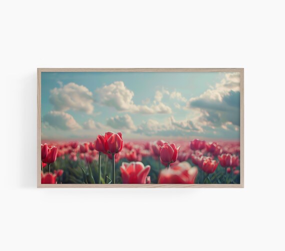 Red Tulip Field Spring Flower Farm Bloom Meadow Photo Wall Art
