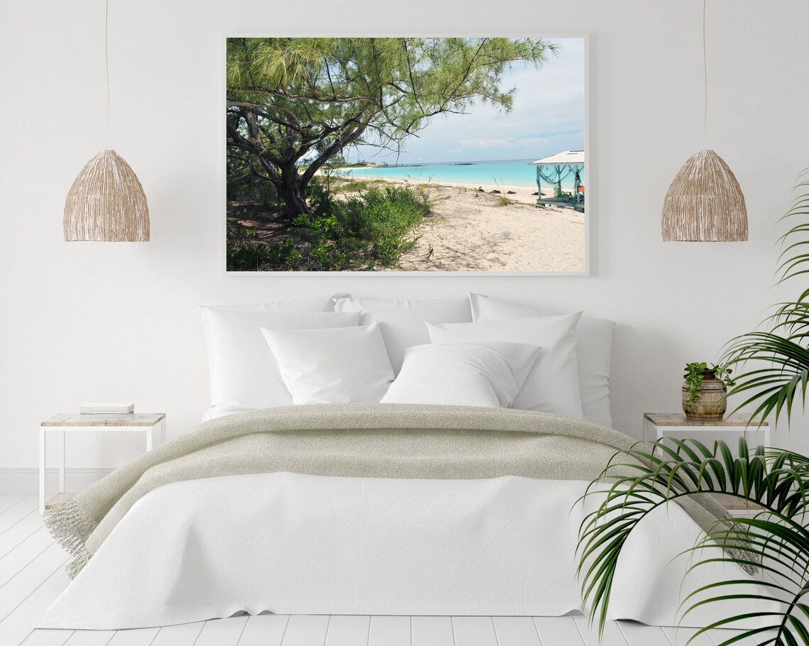 Shaded Path to a Turquoise Beach With Tree and Hut Photo Poster - Image 3