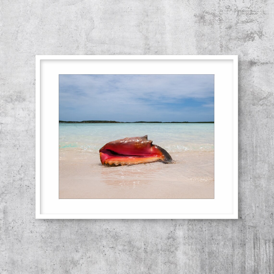 Seashell Print, Bahamas Conch Shell Travel Poster - Image 2