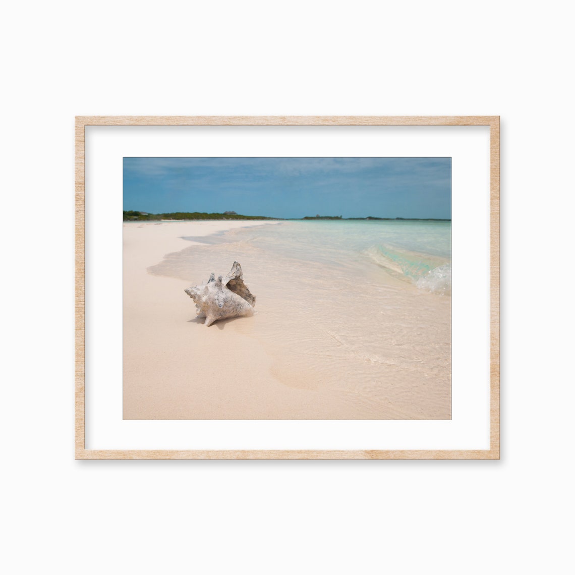 Conch Shell White Sand Beach Turquoise Water Coastal Photo Poster