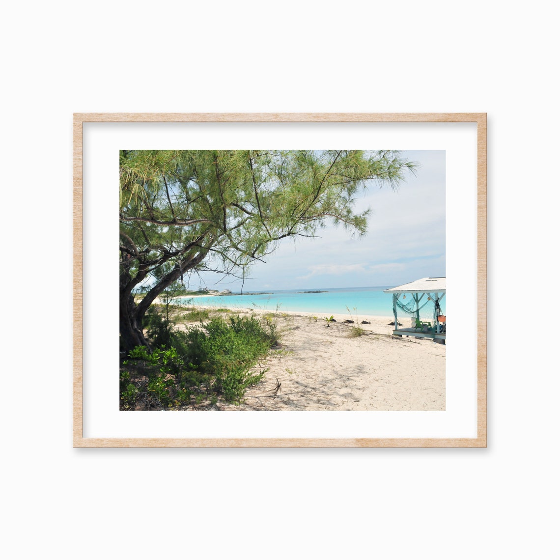 Shaded Path to a Turquoise Beach With Tree and Hut Photo Poster
