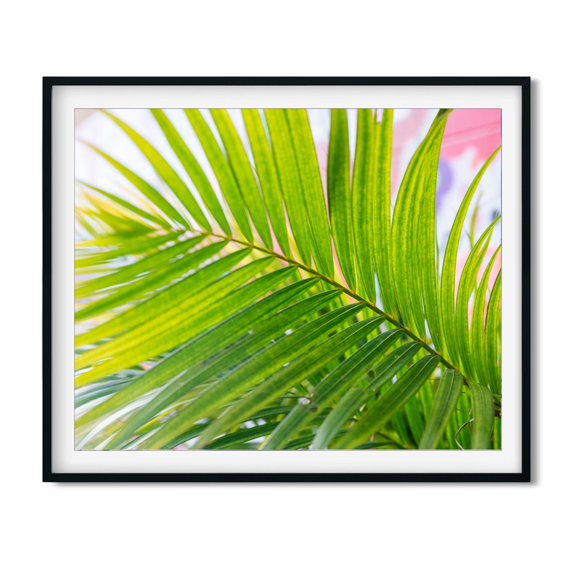 Green Palm Frond Close Up With Soft Pink Background Photo Poster - Image 2