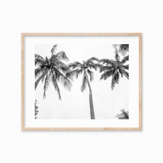 Black White Three Palm Trees Print Hawaiian Art Beach Coastal Wall Art Decor Large Palm Tree Poster Botanical