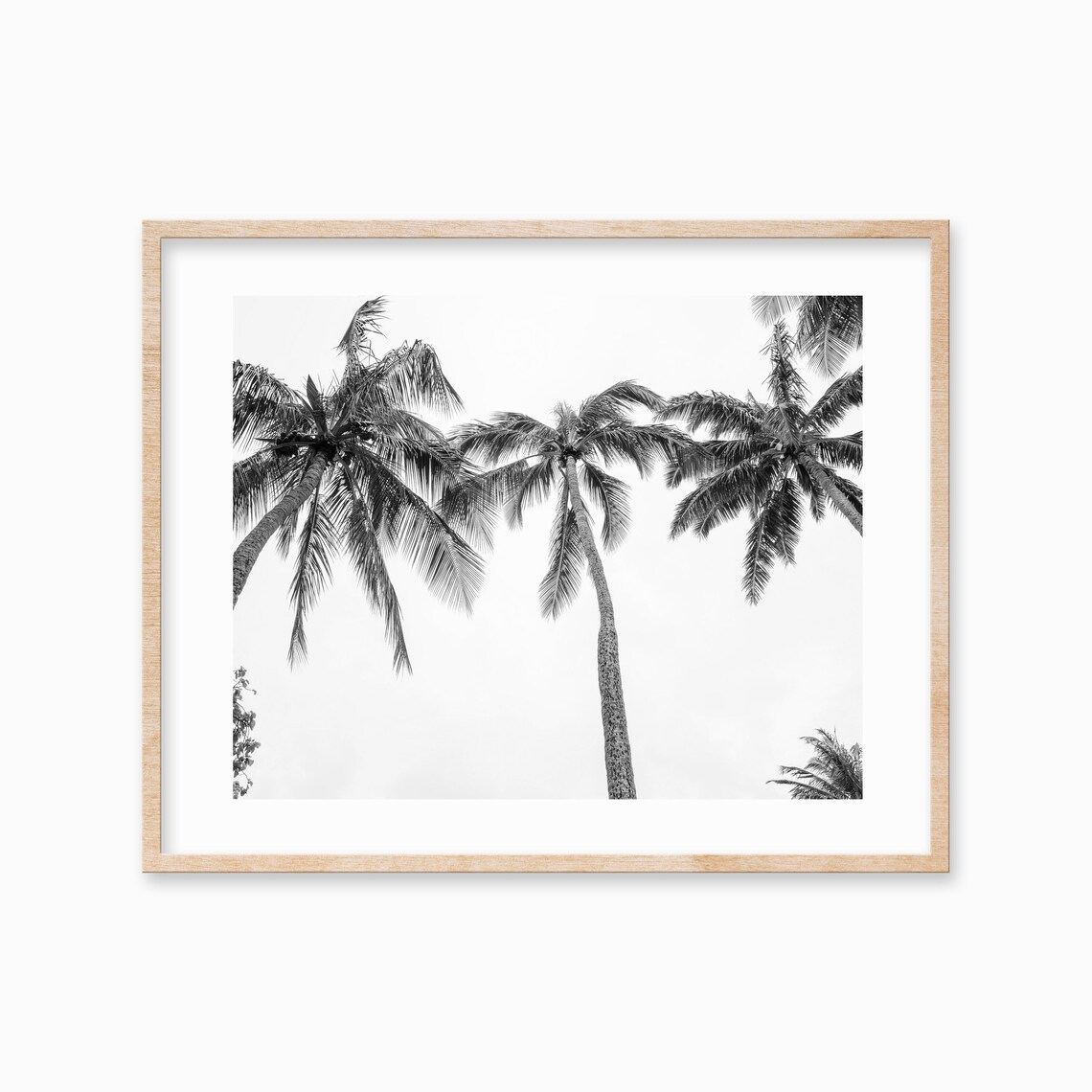 Black White Three Palm Trees Print Hawaiian Art Beach Coastal Wall Art Decor Large Palm Tree Poster Botanical