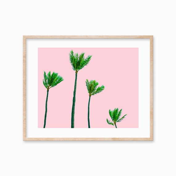 Palm Tree Print Beach Coastal Tropical Wall Art Decor Large Palm Tree Poster Beach Photography Palm Tree Art
