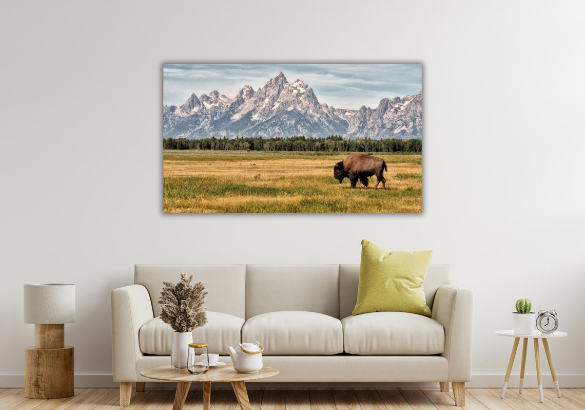 American Bison Grazing Beneath The Grand Teton Mountain Peaks Poster - Image 2