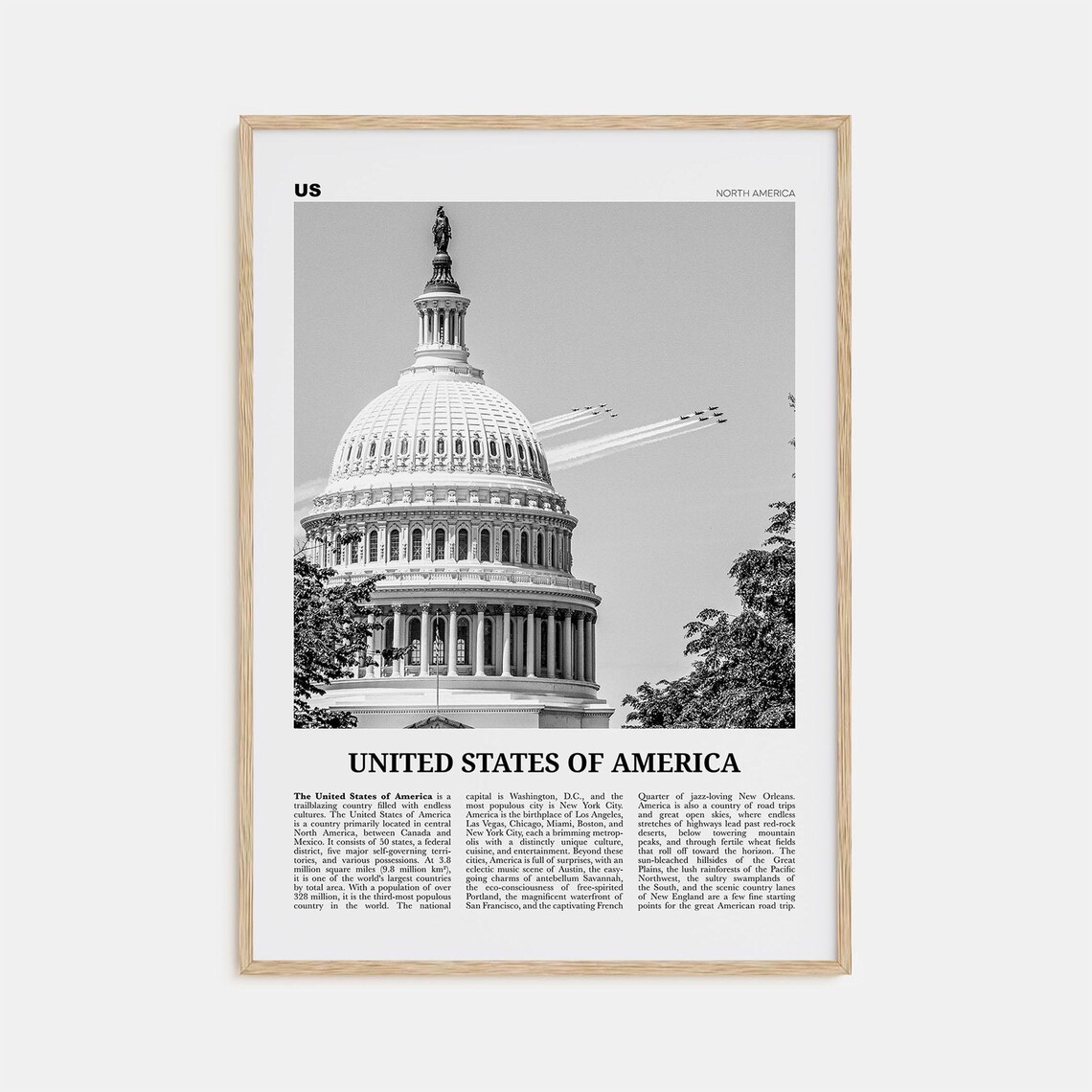 United States Of America Black And White Poster No. 2