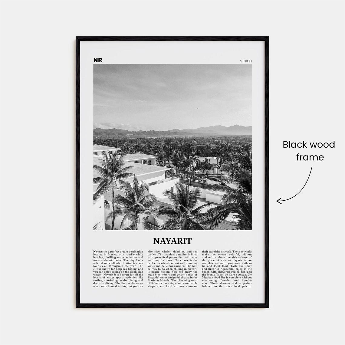 Nayarit Black and White Mexico Travel Poster, Tepic - Image 3