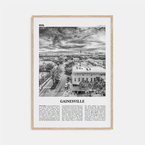 Gainesville Black and White Travel Poster Art Print