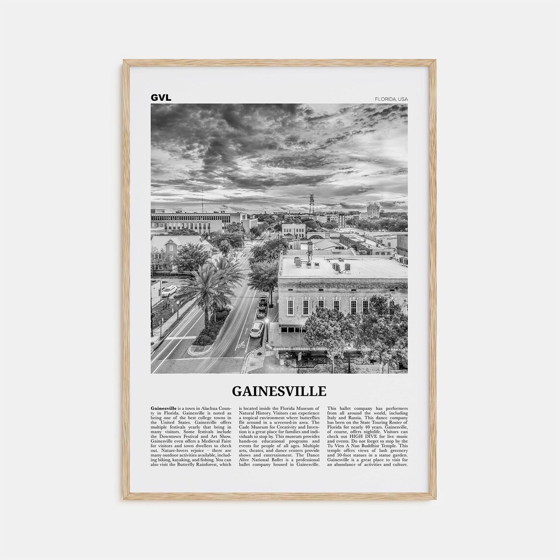 Gainesville Black and White Travel Poster Art Print