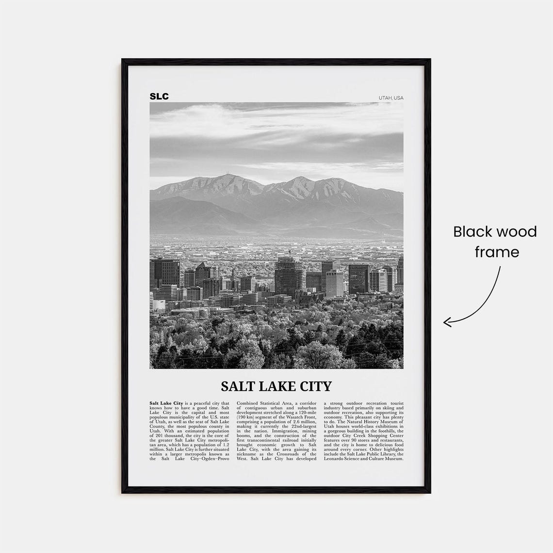 Salt Lake City Black and White Travel Poster - Image 3