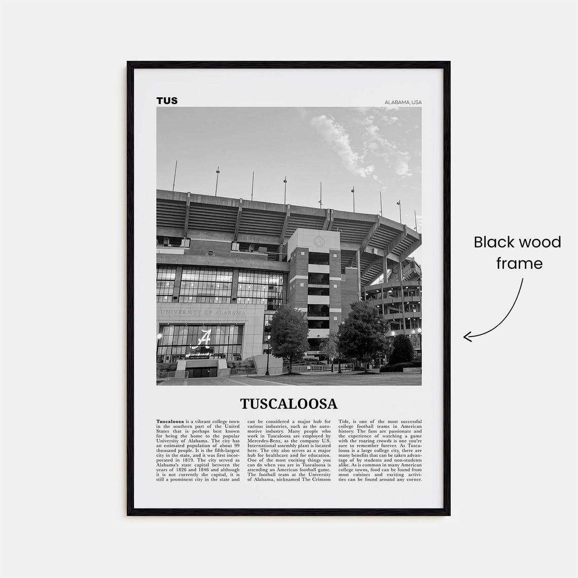 Tuscaloosa Print Black And White No 2 Tuscaloosa Wall Art Tuscaloosa Poster Tuscaloosa Photo Tuscaloosa Wall Dcor Tuscaloosa Us - Image 3