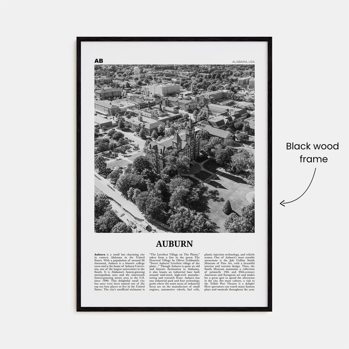 Auburn, Alabama Black and White Travel Poster - Image 3