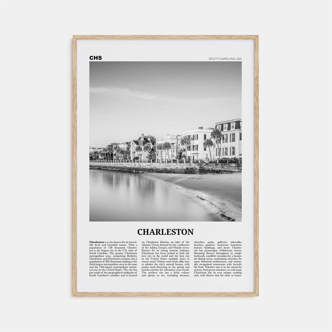 Charleston, South Carolina Black and White Travel Poster