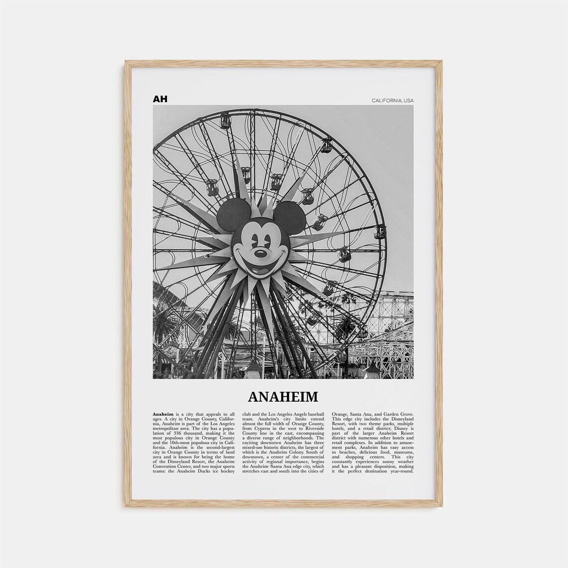 Anaheim Black and White Travel Poster, California