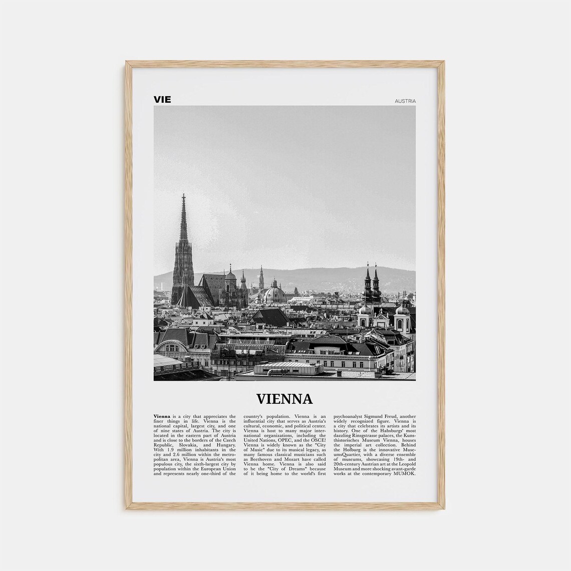 Vienna Black And White Travel Poster, Austria