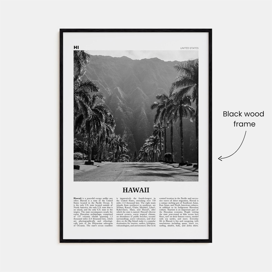 Hawaii Black And White No. 2 Travel Poster - Image 3