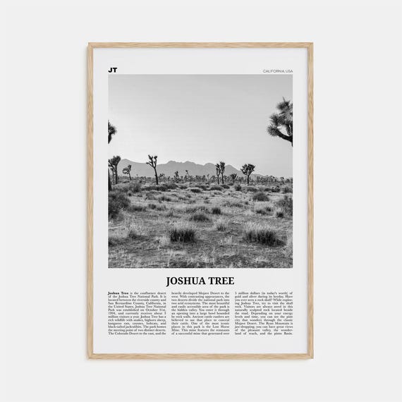 Joshua Tree National Park Black And White Poster
