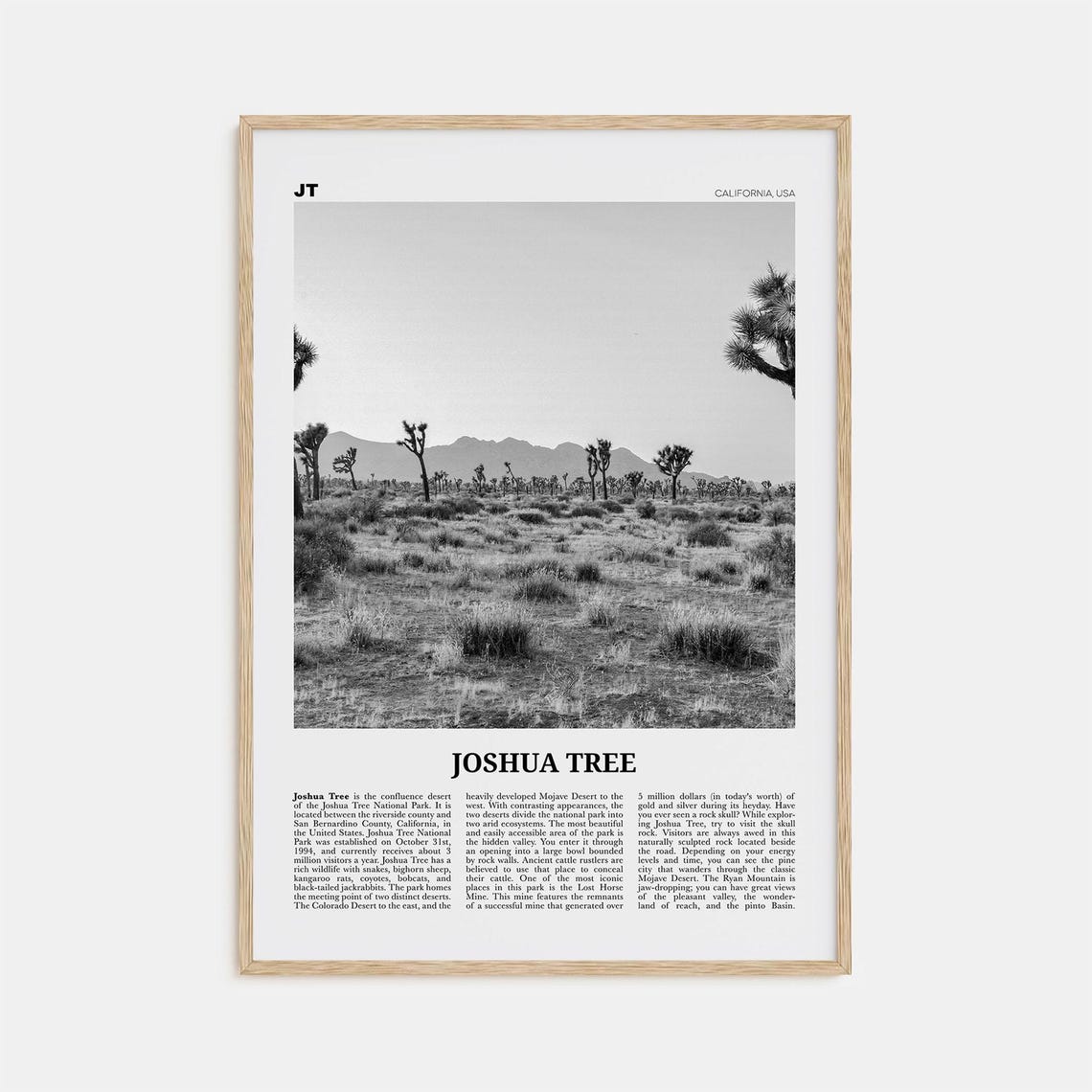 Joshua Tree National Park Black And White Poster