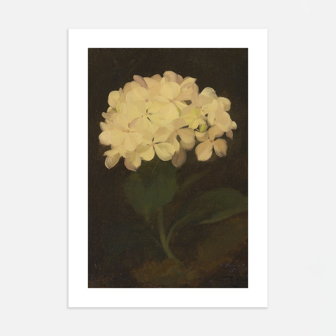 White Hydrangea Moody Dark Background Vintage Oil Painting Poster - Image 2