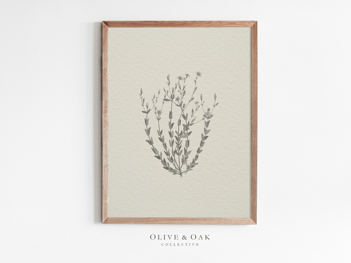 Neutral Botanical Drawing, Vintage Flower Sketch Poster