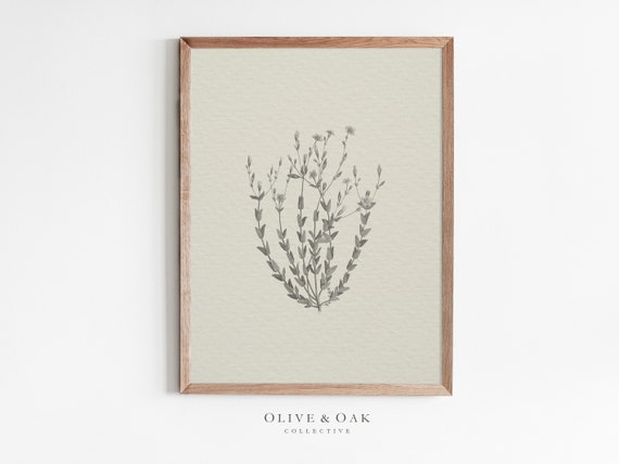 Neutral Botanical Drawing, Vintage Flower Sketch Poster