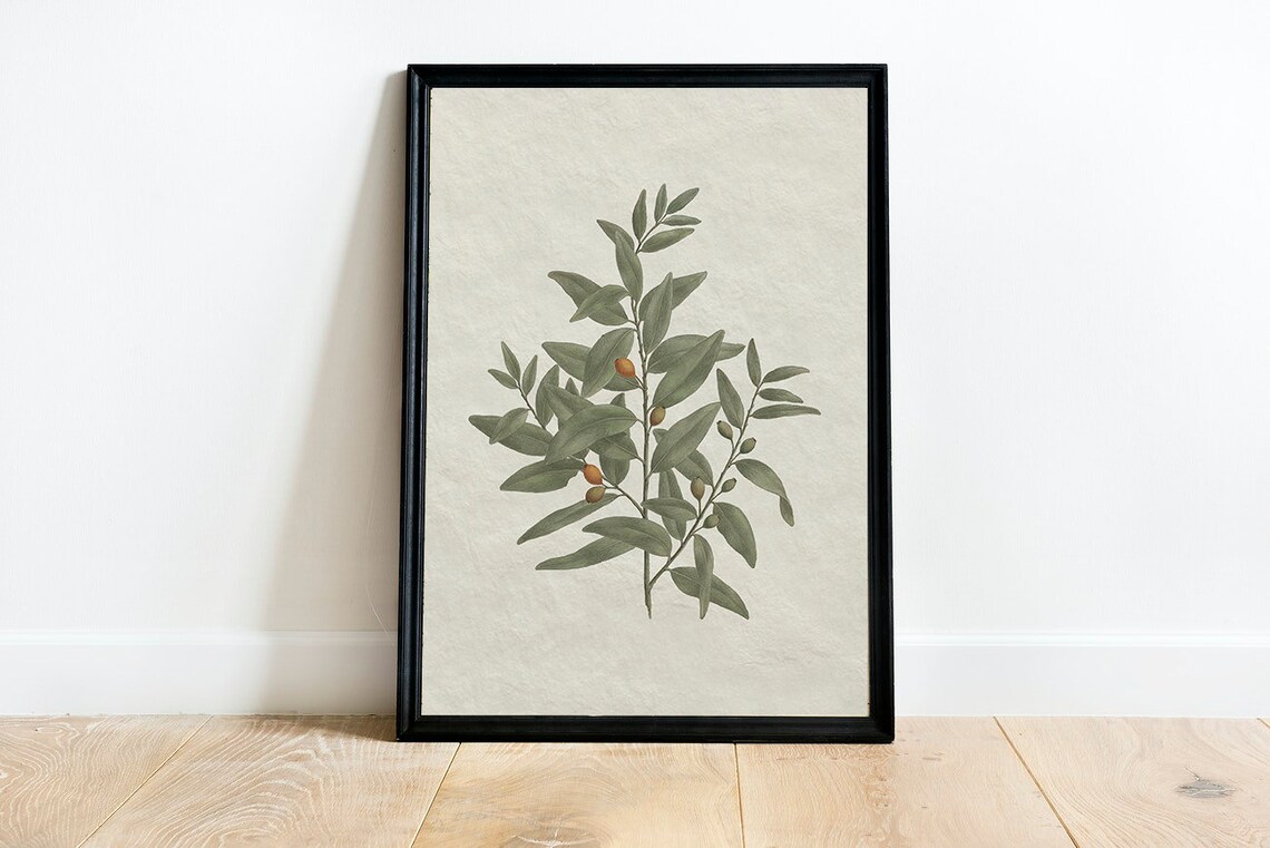 Vintage Botanical Olive Branch Sketch, Kitchen Art Print - Image 2
