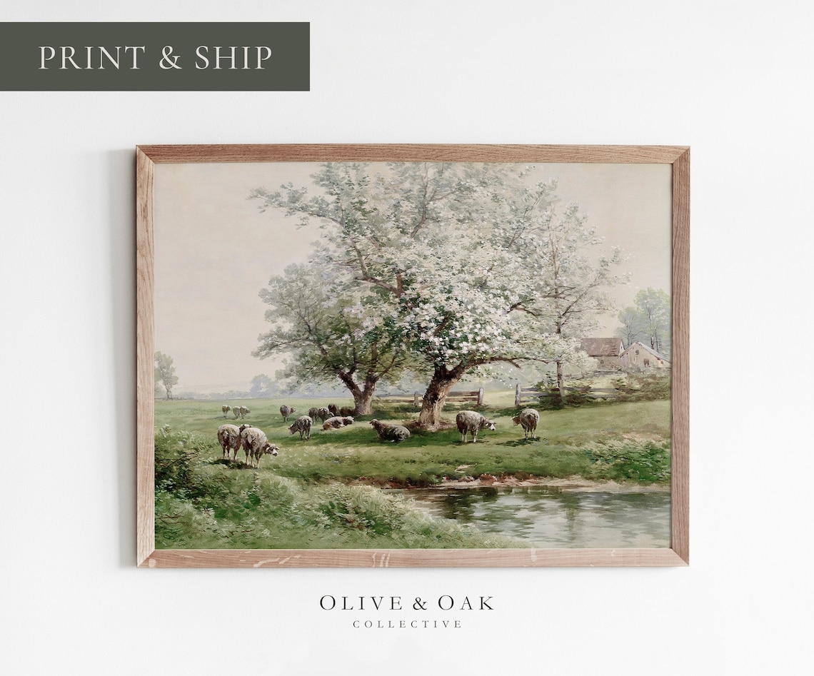 Spring Landscape With Sheep Pasture, Blossom Tree
