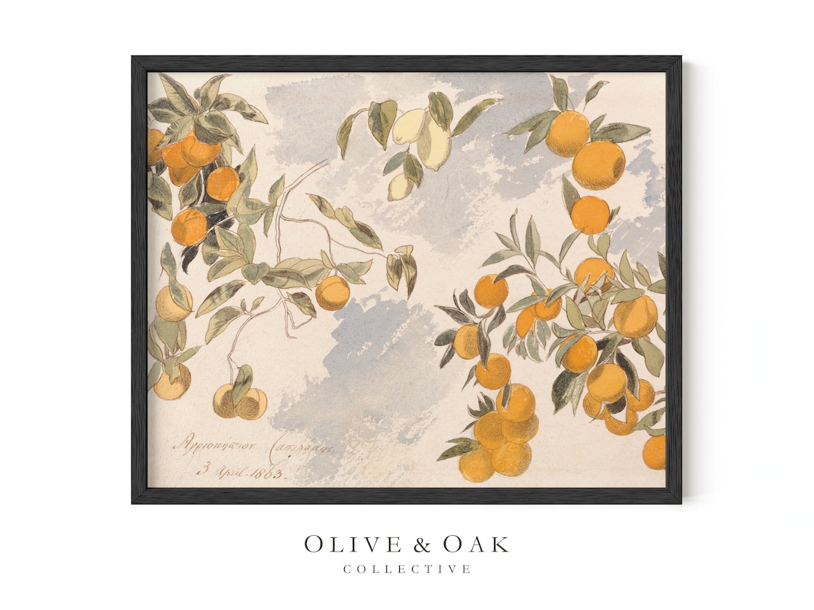 Vintage Botanical Lemon Painting, Farmhouse Kitchen - Image 3