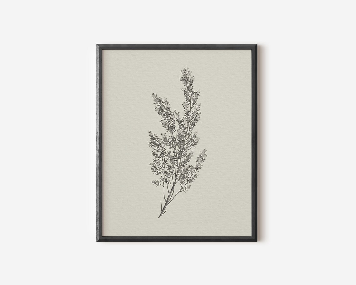 Rustic Botanical Print Simple Neutral Artwork 444 - Image 3