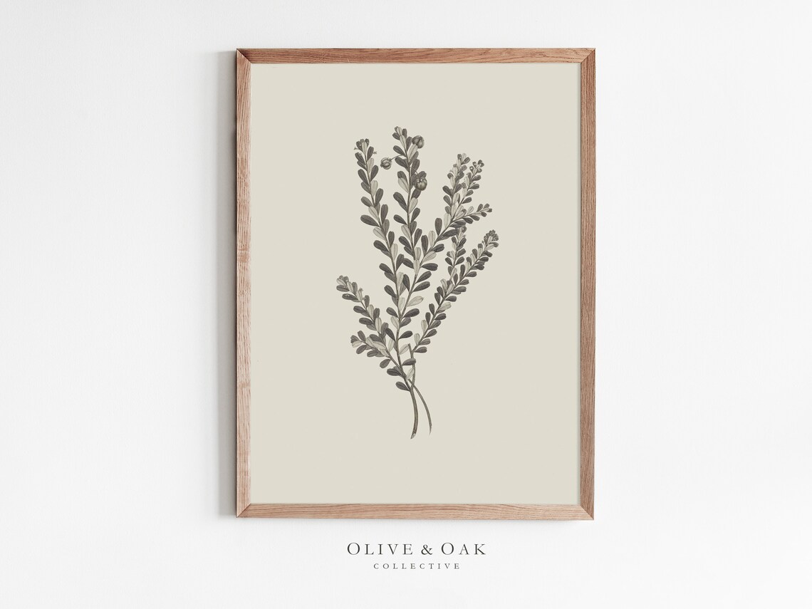 Botanical Branch Drawing, Simple Flower Art Print