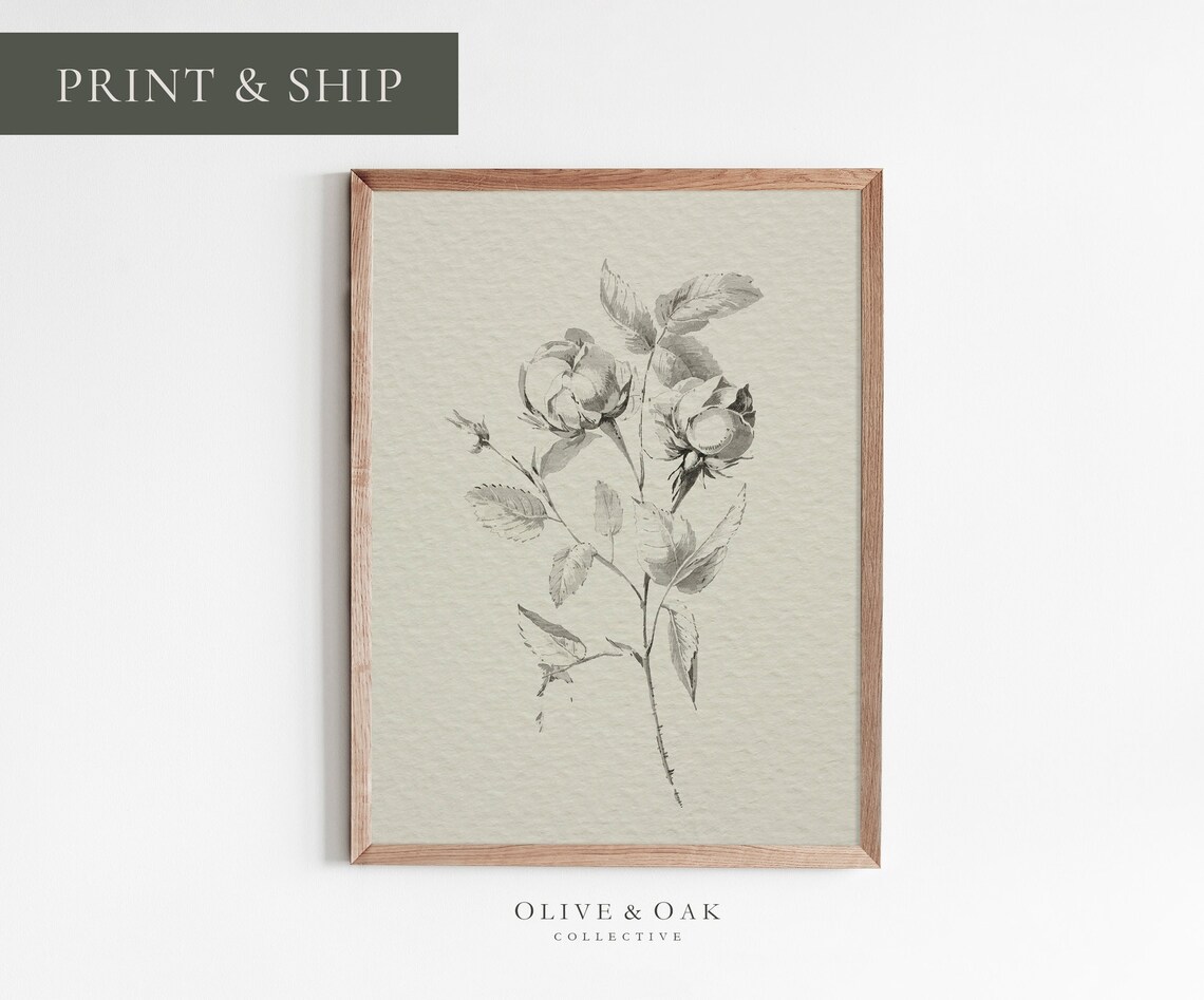 Vintage Flower Drawing, Rustic Botanical Sketch
