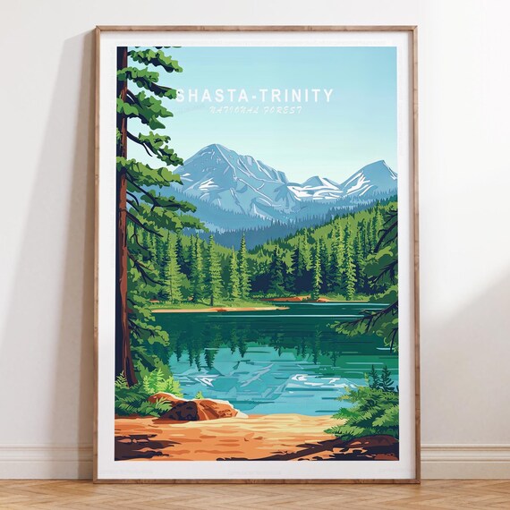 Shasta-Trinity National Forest Lake Reflection Sky Title Pines Poster
